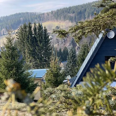 Kleines Chalet Im Erzgebirge Mit Sauna Und Kamin Rechenberg-Bienenmühle Buitenkant foto