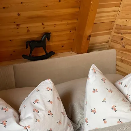Kleines Chalet Im Erzgebirge Mit Sauna Und Kamin Rechenberg-Bienenmühle Buitenkant foto