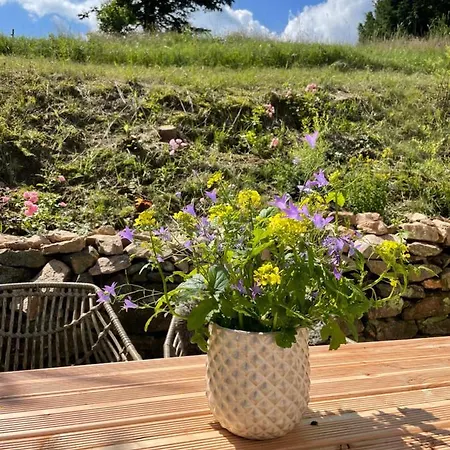 Kleines Chalet Im Erzgebirge Mit Sauna Und Kamin Rechenberg-Bienenmühle Buitenkant foto