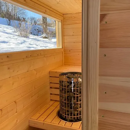 Kleines Chalet Im Erzgebirge Mit Sauna Und Kamin Rechenberg-Bienenmühle Buitenkant foto