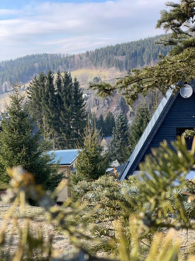 Kleines Im Erzgebirge Mit Sauna Und Kamin Rechenberg-Bienenmühle