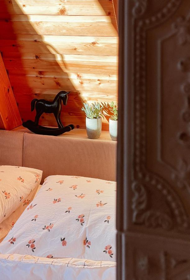Kleines Im Erzgebirge Mit Sauna Und Kamin * Rechenberg-Bienenmühle