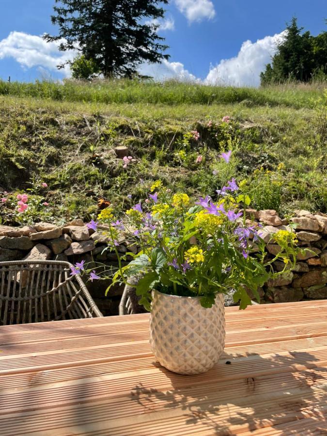 Kleines Im Erzgebirge Mit Sauna Und Kamin Vakantiehuis