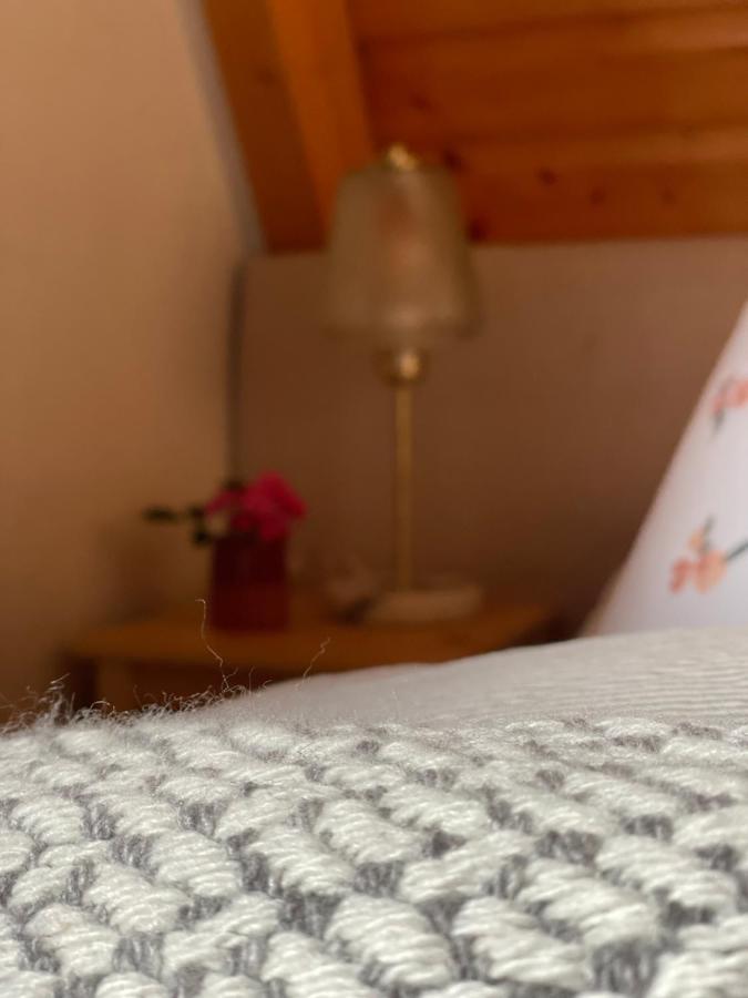 Kleines Im Erzgebirge Mit Sauna Und Kamin Rechenberg-Bienenmühle