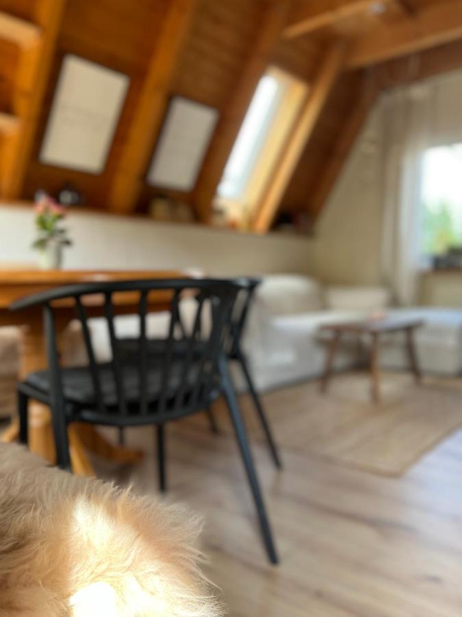Kleines Im Erzgebirge Mit Sauna Und Kamin Ferienhaus *