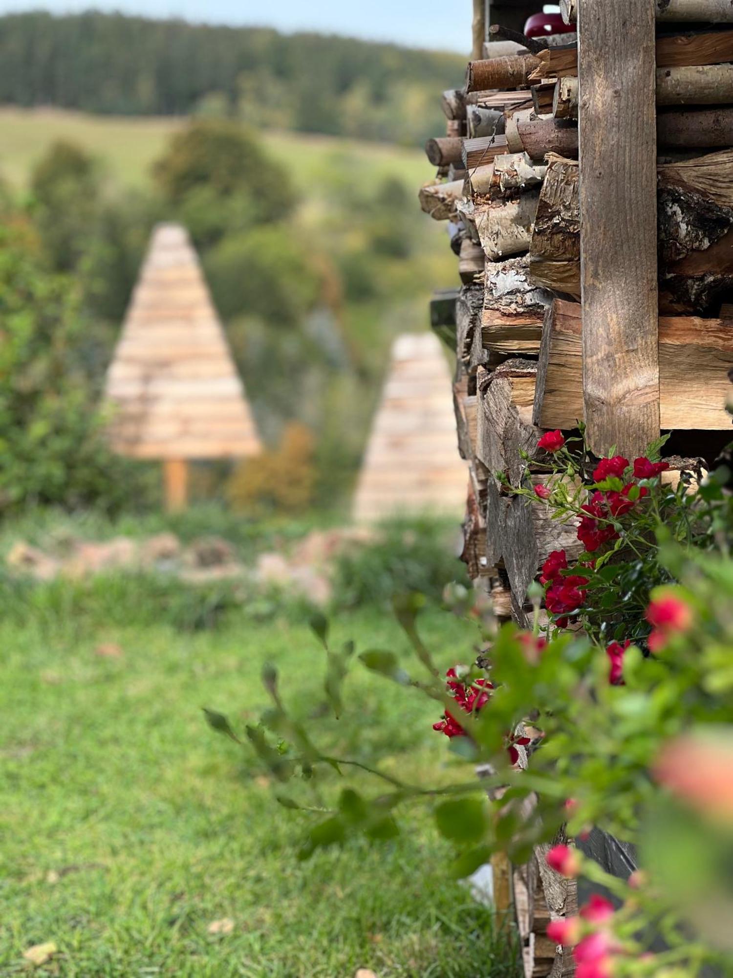 Kleines Im Erzgebirge Mit Sauna Und Kamin Ferienhaus *